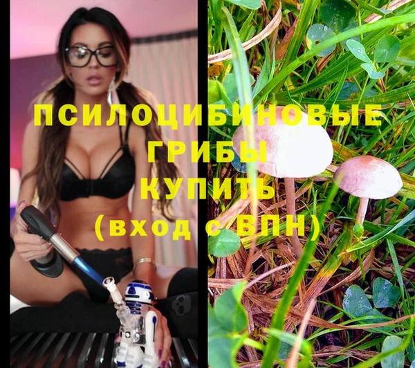 MESCALINE Нягань