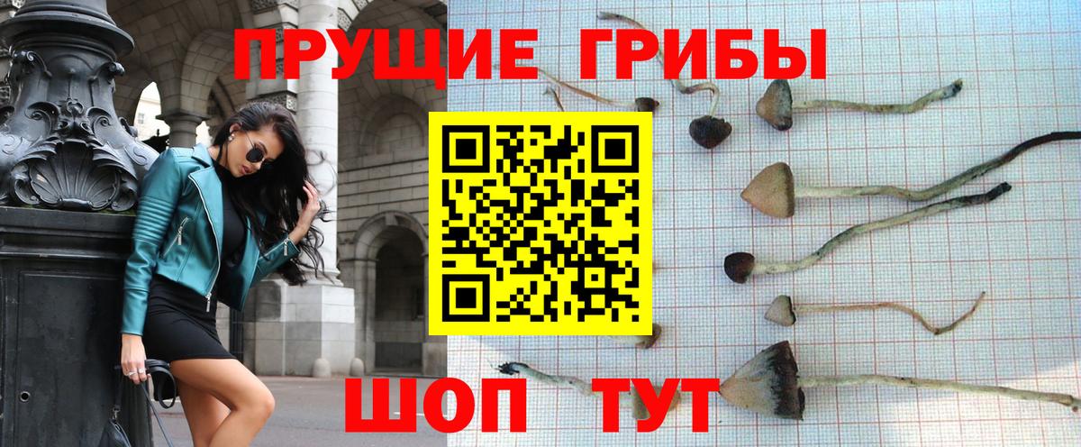 Галлюциногенные грибы Psilocybine cubensis Ступино